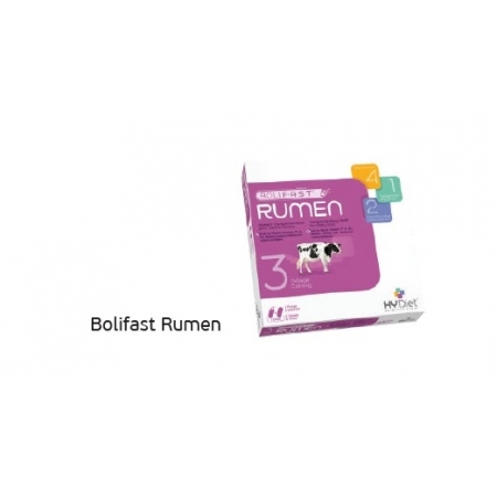 Bolifast Rumen